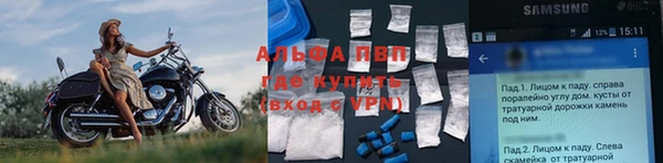 гашик Алзамай
