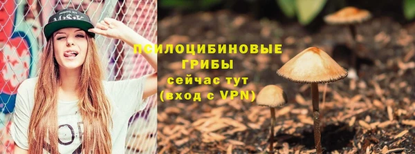 ешки Алексеевка