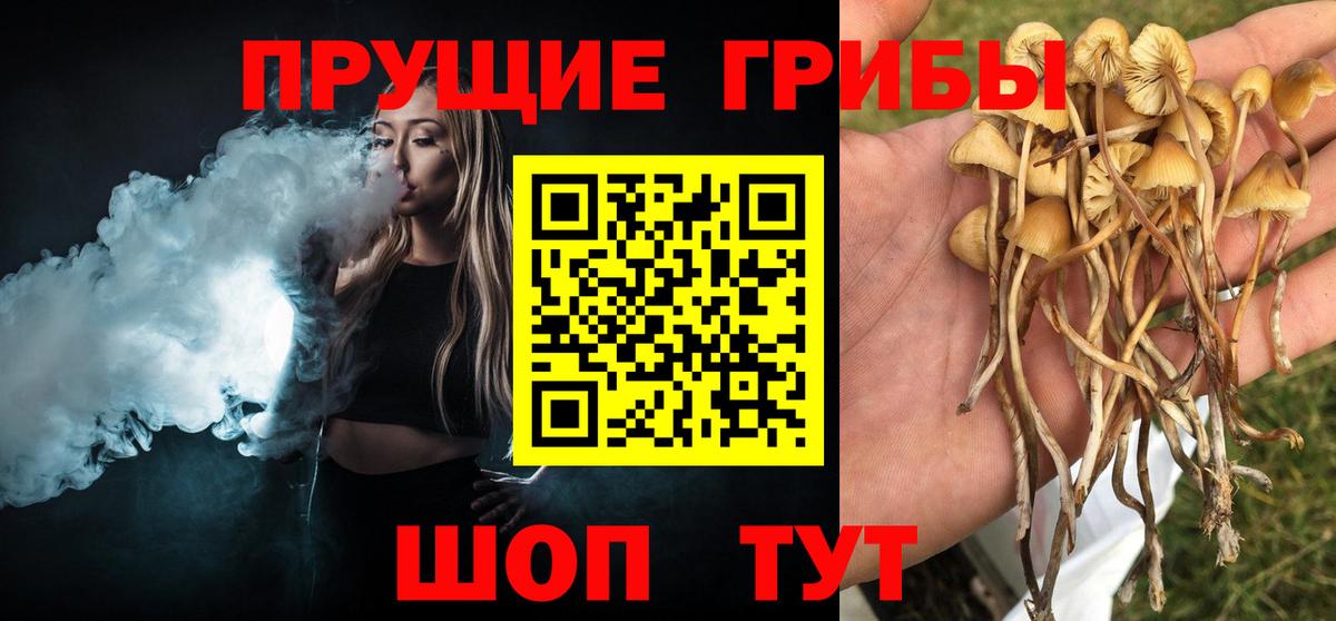 Усть-Лабинск  Псилоцибиновые грибы MAGIC MUSHROOMS  Вход с VPN 