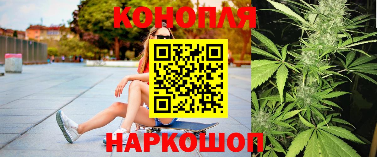 Бошки Шишки планчик Усть-Лабинск